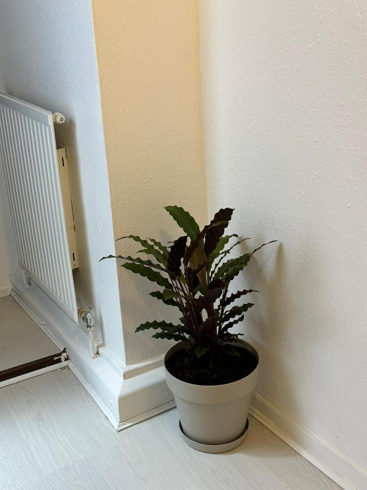 3 Bedroom King Cross Station City Centre Лондон Екстер'єр фото